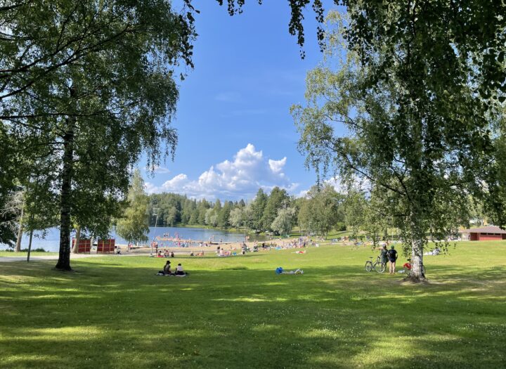タンペレ近郊で泳ぐならおすすめ湖はここ　フィンランド生活備忘録