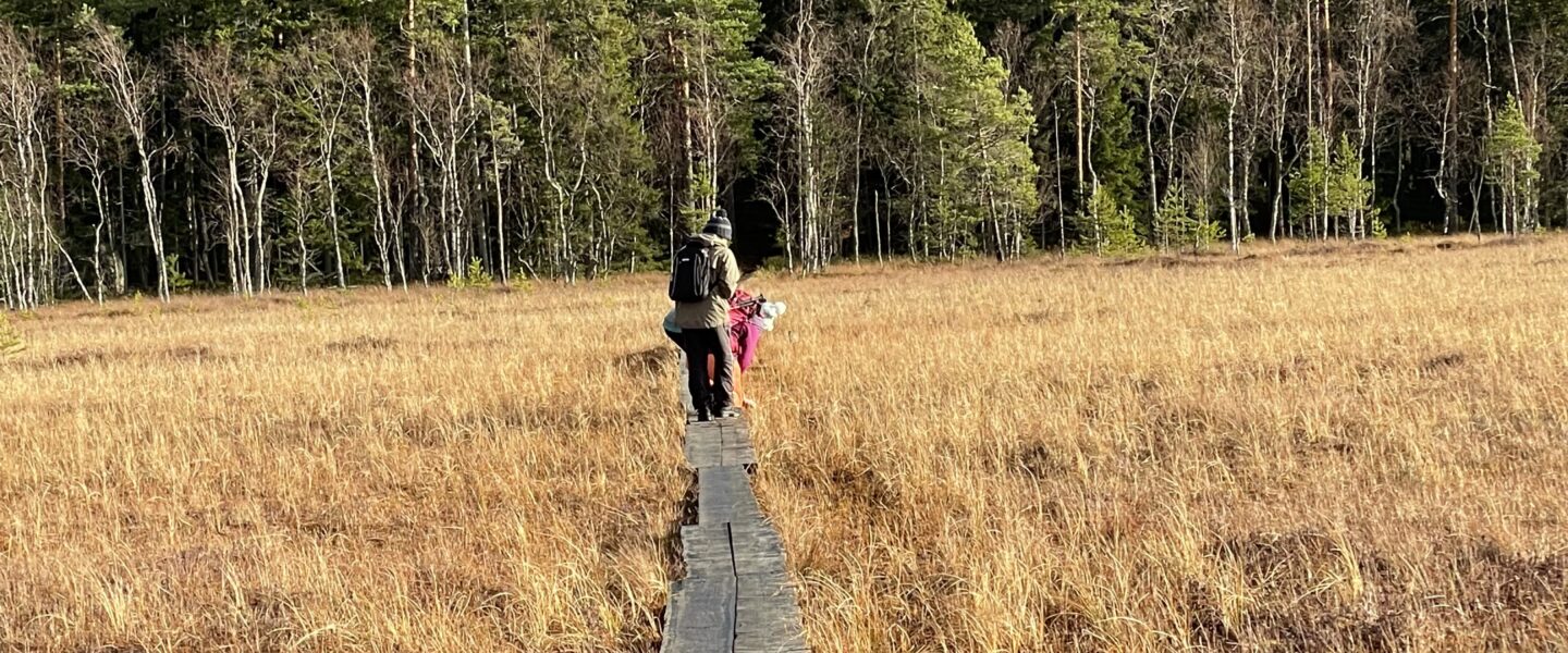人生初のハイキング！　フィンランドの自然は偉大なり　フィンランド生活備忘録